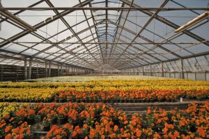 floriculture_blooming_indogardening_blog-image