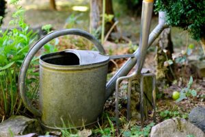 gardening-tools_needs_indogardening_blog-image