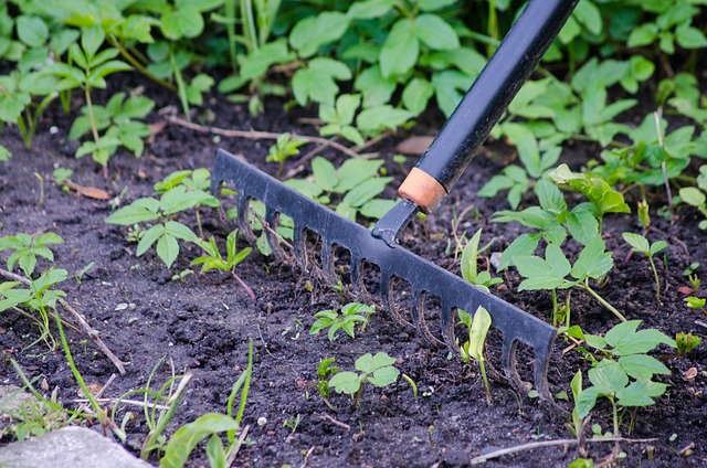 gardening-tools__indogardening_blog-image