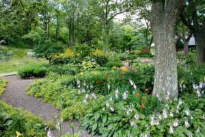 Landscaping_indogardening_blog-image
