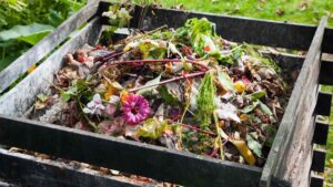 composting_home_indogardening_blog-image