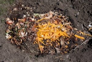  best_composting_methods_indogardening _blog-image