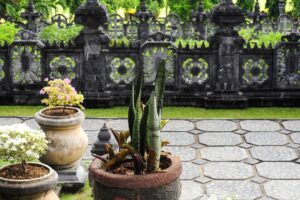 vastu_garden_placement_tips_home_indogardening _blog-image