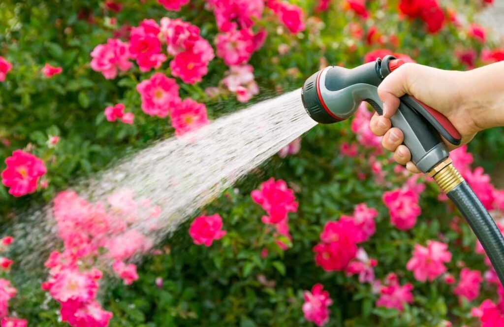 water_saving_gardening_indogardening _blog-image