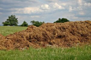 fertilizer_or_compost_indogardening_blog-image