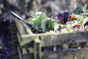 composting_indogardening_blog-image