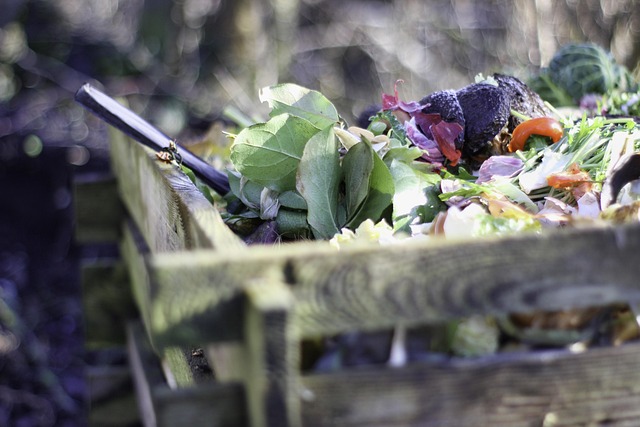 composting_indogardening_blog-image