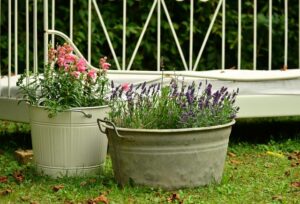 container_gardening_ideas_indogardening_blog-image