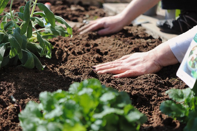 garden_soil_improvement_basics_indogardening_blog-image