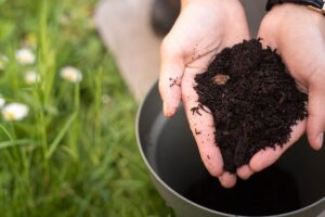 soil_preparation_secrets_indogardening_blog-image