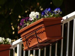 best_shade-loving_balcony_plants_indogardening_blog-image