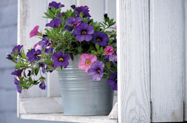 container_gardening_indogardening_blog-image