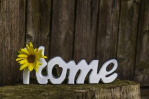 home_garden_indogardening_blog-image