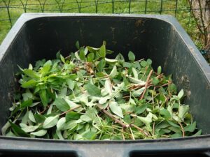 home_made_compostingindogardening_blog-image