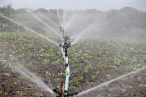 smart_watering_&_irrigation_indogardening_blog-image