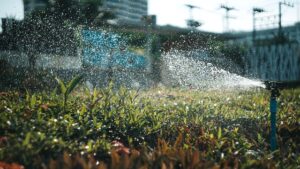smart_watering_&_irrigation_tips_indogardening_blog-image