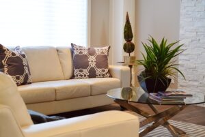indoor_plants_for_apartments_indogardening_blog-image