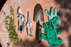 gardening_tools_indogardening_blog-image