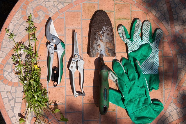 gardening_tools_indogardening_blog-image