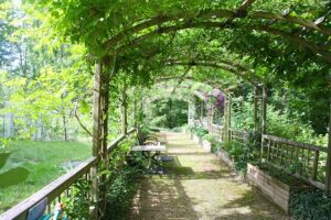 pergola_&_trellis_ideas_indogardening_blog-image