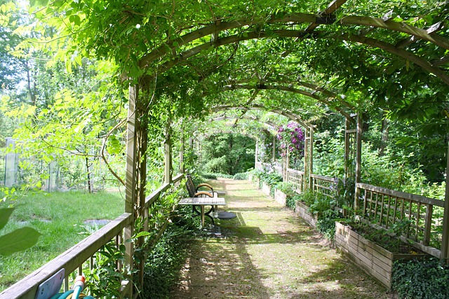 pergola_&_trellis_ideas_indogardening_blog-image