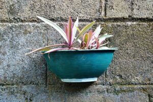 container_gardening_guide_indogardening_blog-image