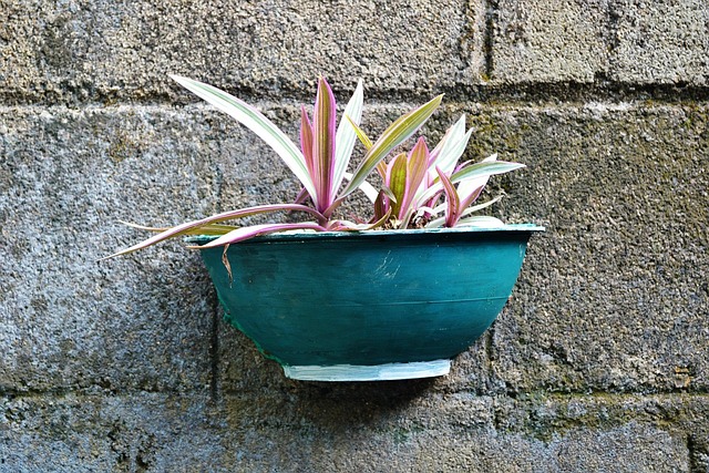 container_gardening_guide_indogardening_blog-image