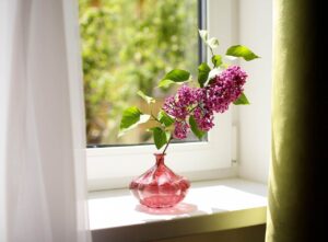 indoor_gardening_ideas_for_tiny_home_indogardening_blog-image