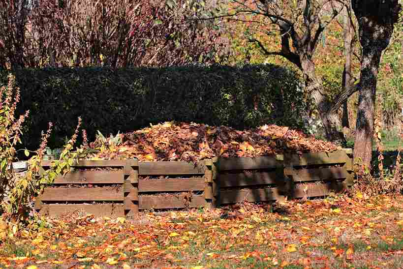 composting_for_home_garden_indogardening_blog-image