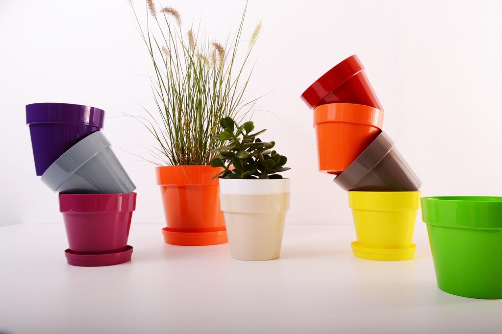 container_gardening_ideas_indogardening_blog-image