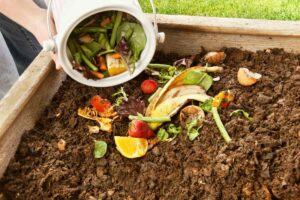 easy_composting_for_home_garden_indogardening_blog-image