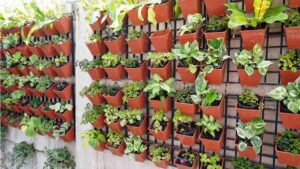 innovative_gardening_techniques_indogardening_blog-image
