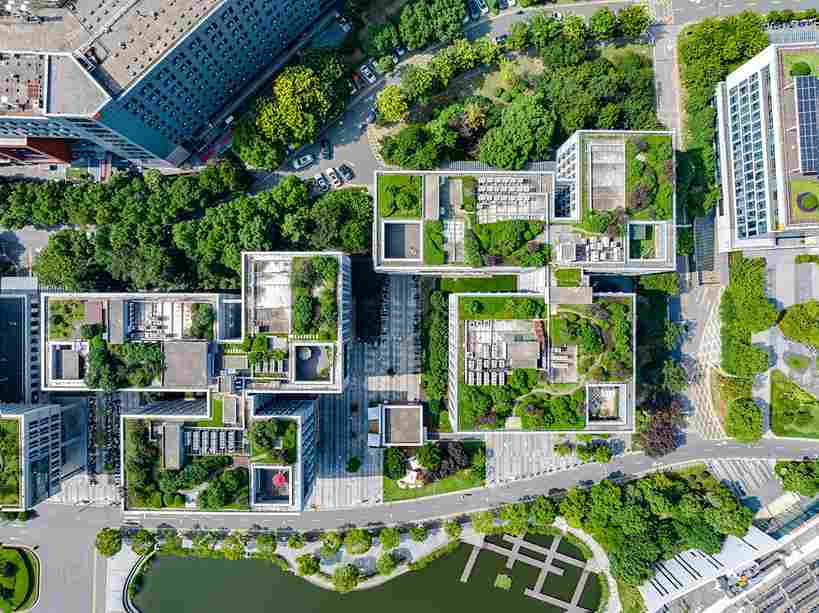 innovative_gardening_indogardening_blog-image