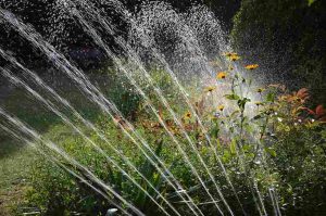 irrigation_tips_for_healthy_garden_soil_indogardening_blog-image