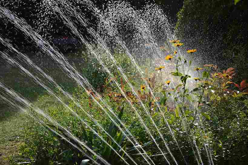 irrigation_tips_for_healthy_garden_soil_indogardening_blog-image
