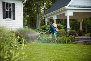 organic_pest_control_indogardening_blog-image