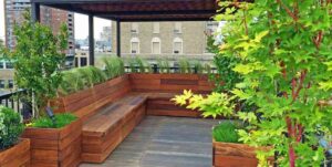 terrace_gardening_ideas_setup_indogardening_blog-image