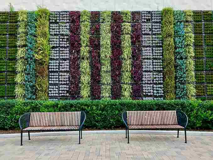 vertical_gardening_space_hacks_indogardening_blog-image