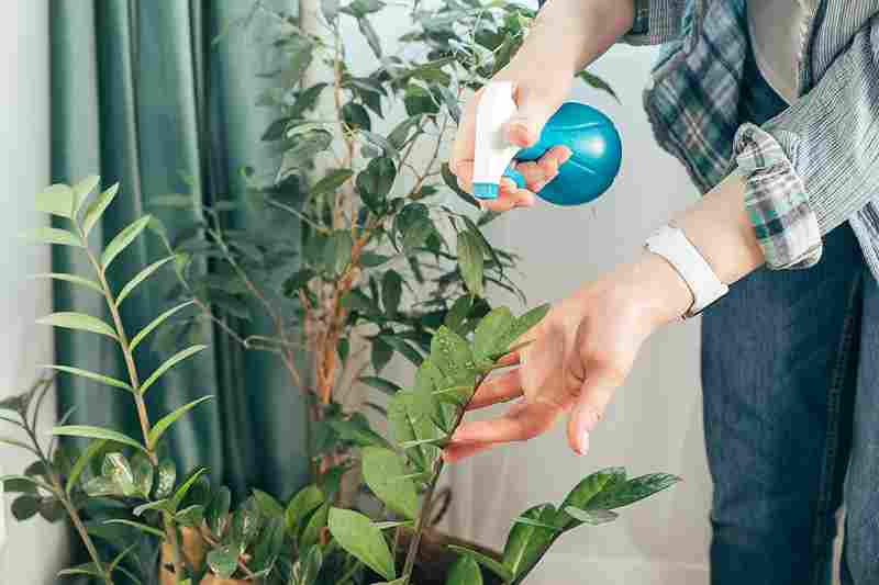 home_garden_maintenance_made_easy_indogardening_blog-image