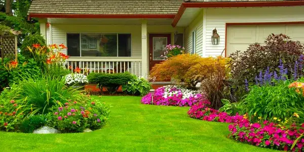 lawn_maintenance_services_near_you_indogardening_blog-image