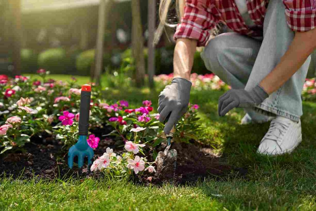 sustainable_gardening_practices_indogardening_blog-image