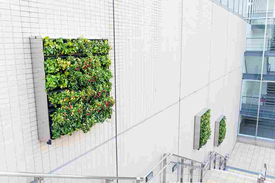 vertical_gardening_solutions_today_indogardening_blog-image