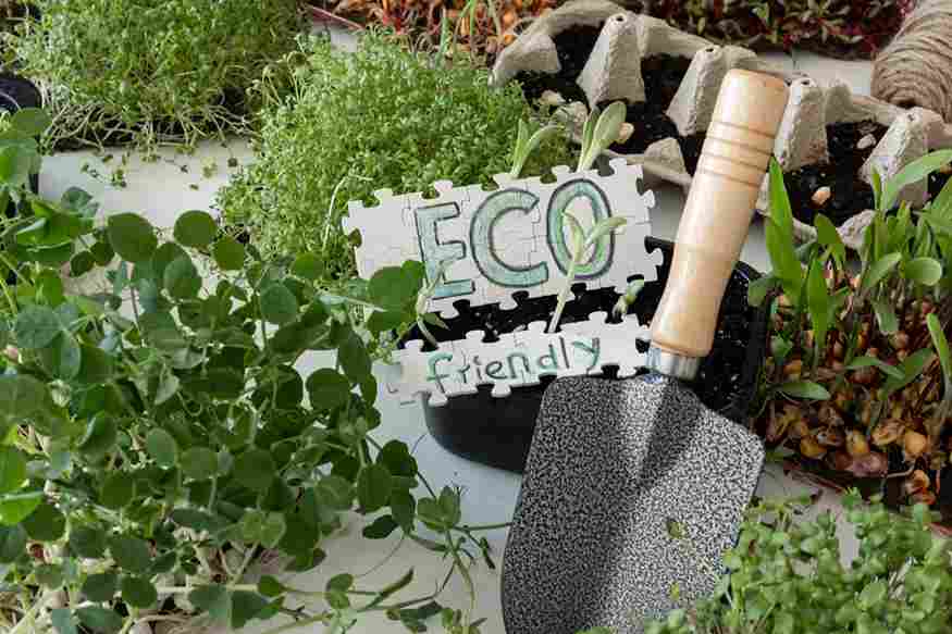 eco-friendly_garden_care_ideas_indogardening_blog-image