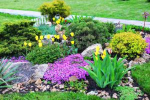 water-wise_landscaping_design_indogardening_blog-image