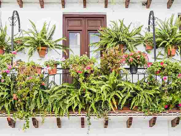 balcony_garden_design_for_apartments _indogardening_blog-image