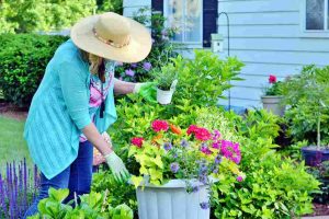 best_yard_gardening_practices_indogardening_blog-image