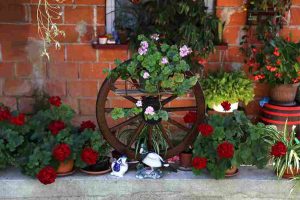 container_gardening_ideas_2026_indogardening_blog-image