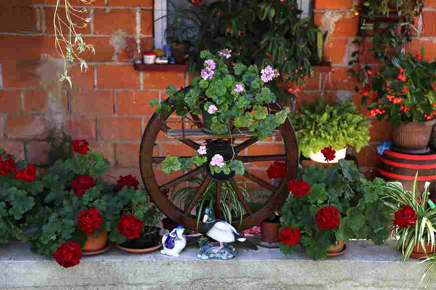 container_gardening_ideas_2026_indogardening_blog-image