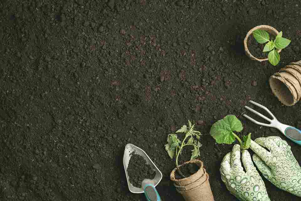 eco-friendly_gardening_practices_indogardening_blog-image