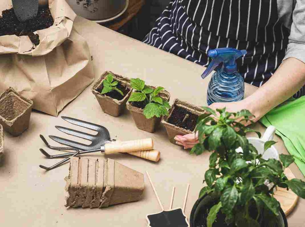 eco-friendly_gardening_tips_indogardening_blog-image